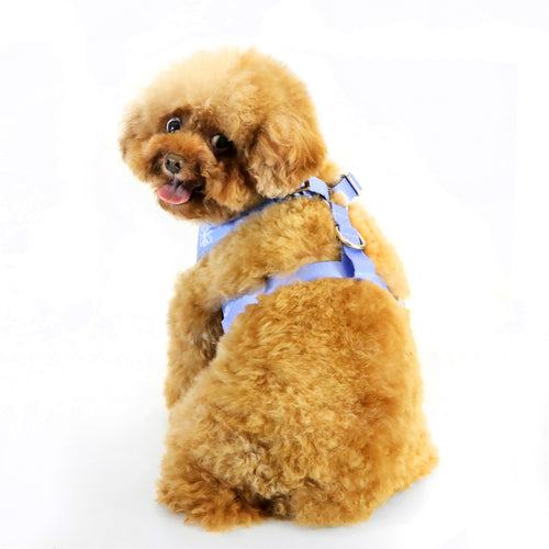florence by mills Print Harness for Dogs 印花寵物胸背帶