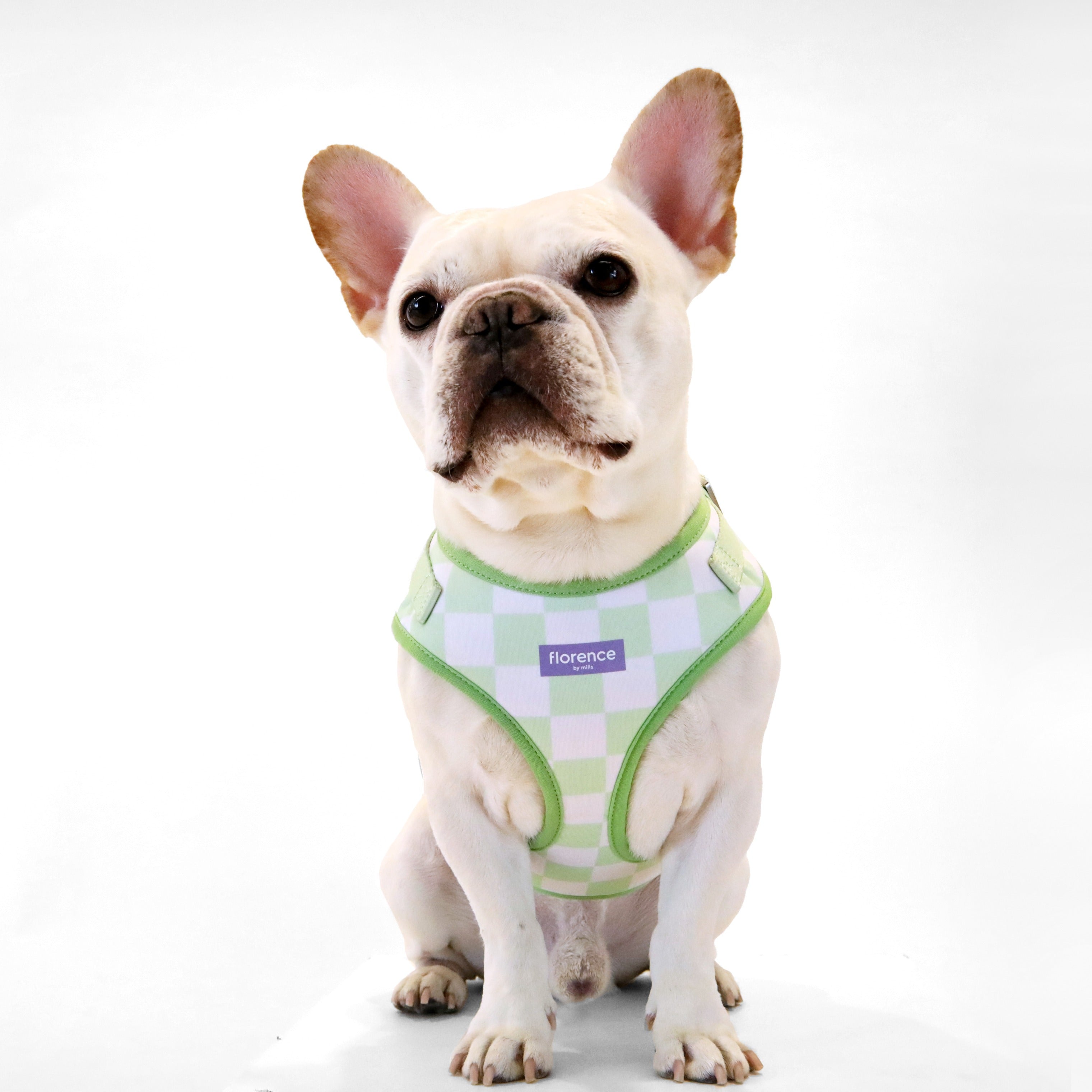 florence by mills Print Harness for Dogs 印花寵物胸背帶