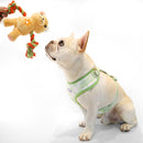 florence by mills Print Harness for Dogs 印花寵物胸背帶