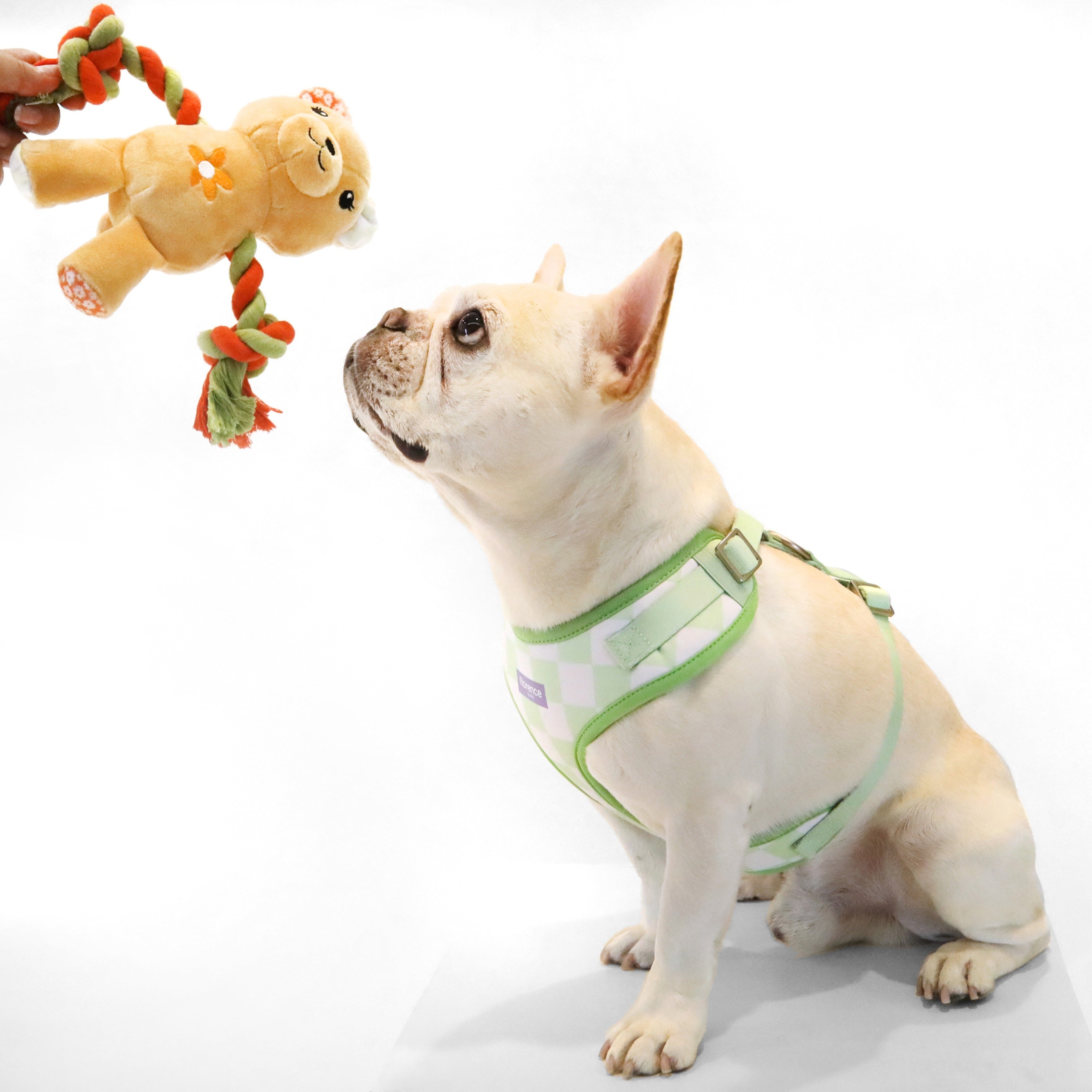 florence by mills Print Harness for Dogs 印花寵物胸背帶