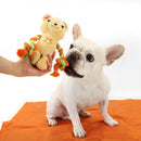 florence by mills Rope Bear Toy for Dogs 繩結小熊玩具