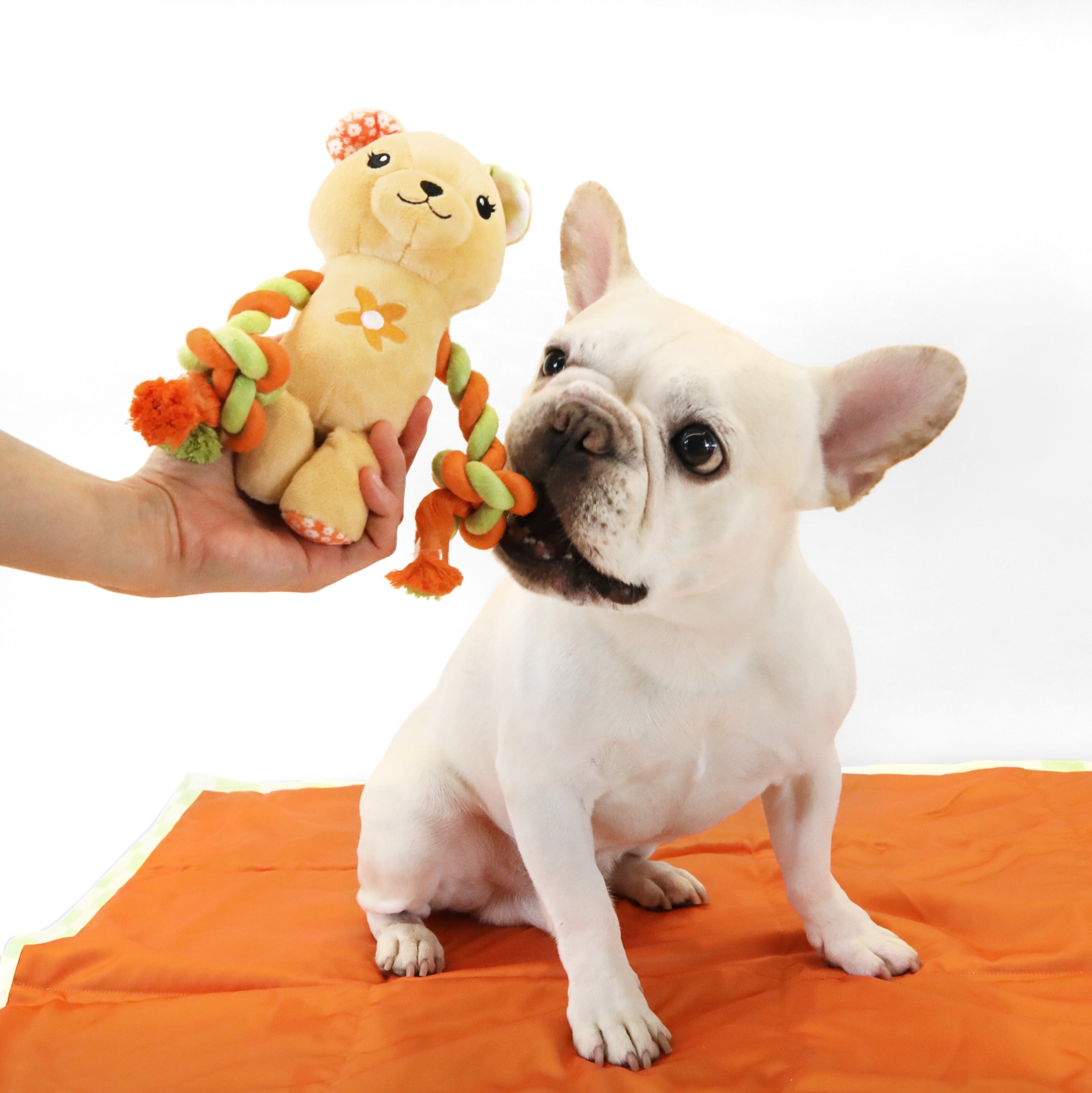 florence by mills Rope Bear Toy for Dogs 繩結小熊玩具