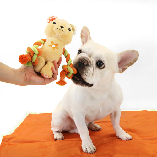 florence by mills Rope Bear Toy for Dogs 繩結小熊玩具
