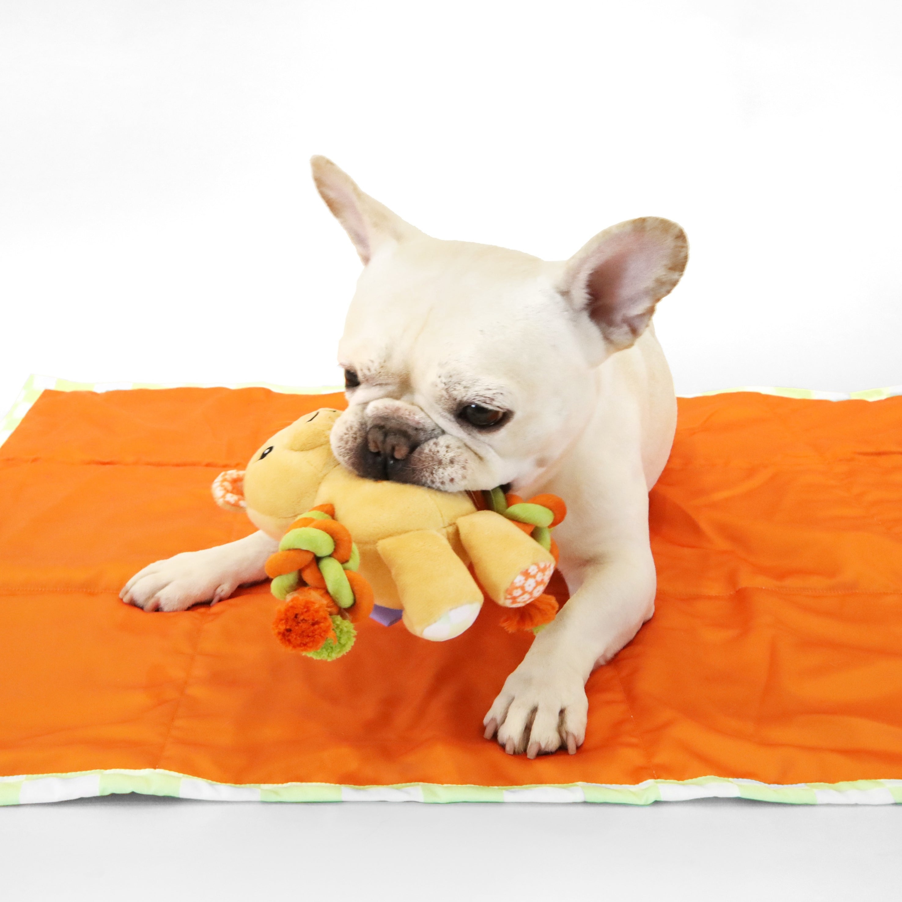 florence by mills Rope Bear Toy for Dogs 繩結小熊玩具