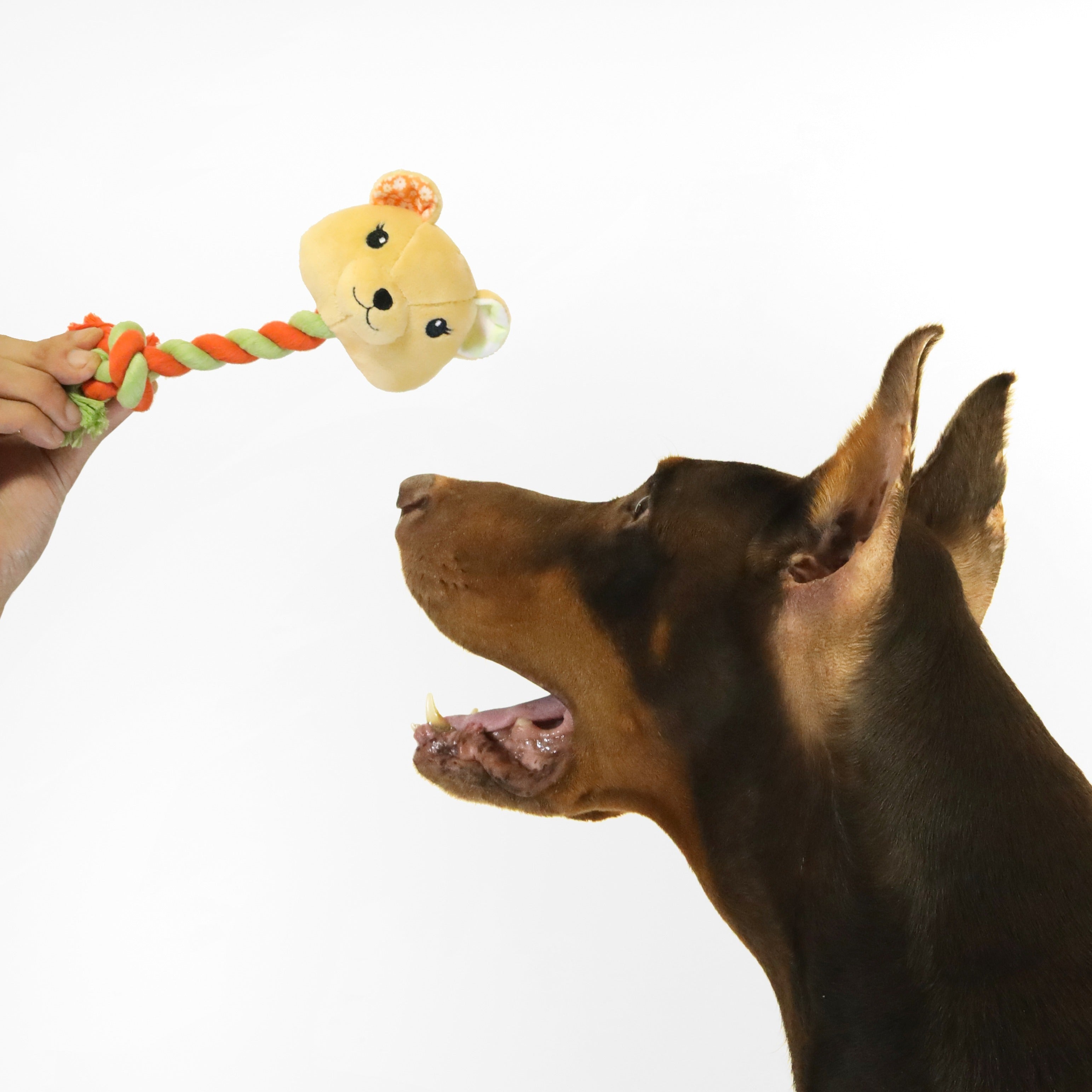 florence by mills Rope Toy for Dogs 繩結玩具