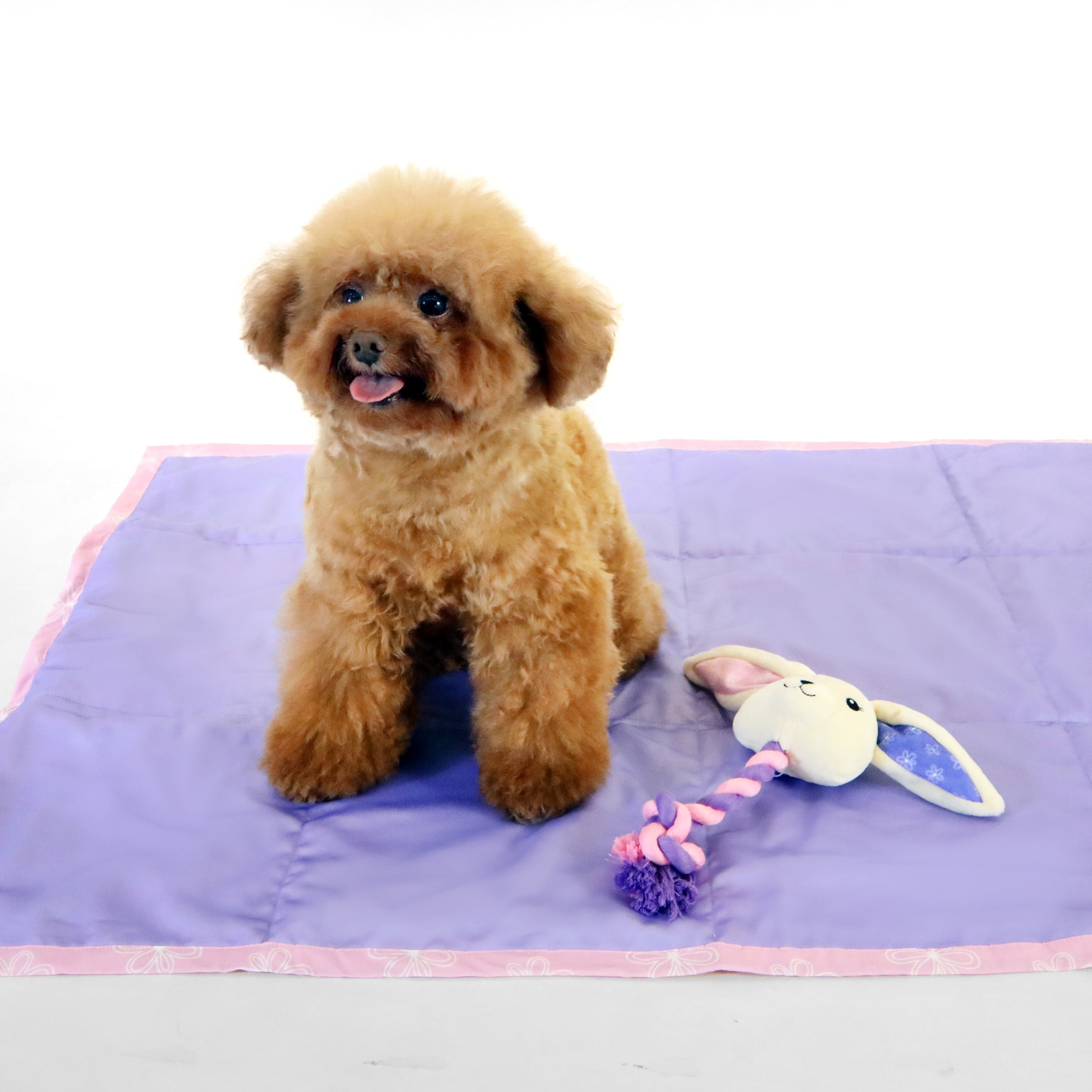 florence by mills Rope Toy for Dogs 繩結玩具