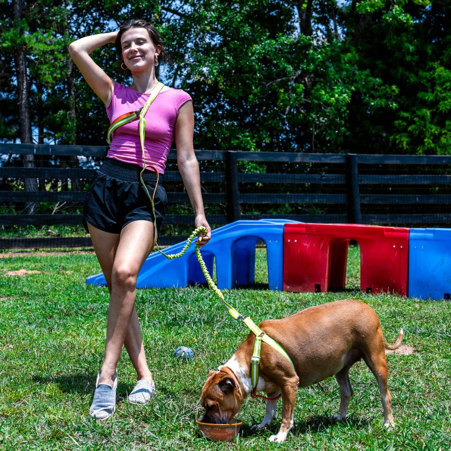 florence by mills Crossbody Dog Leash 交叉背帶式寵物拖帶