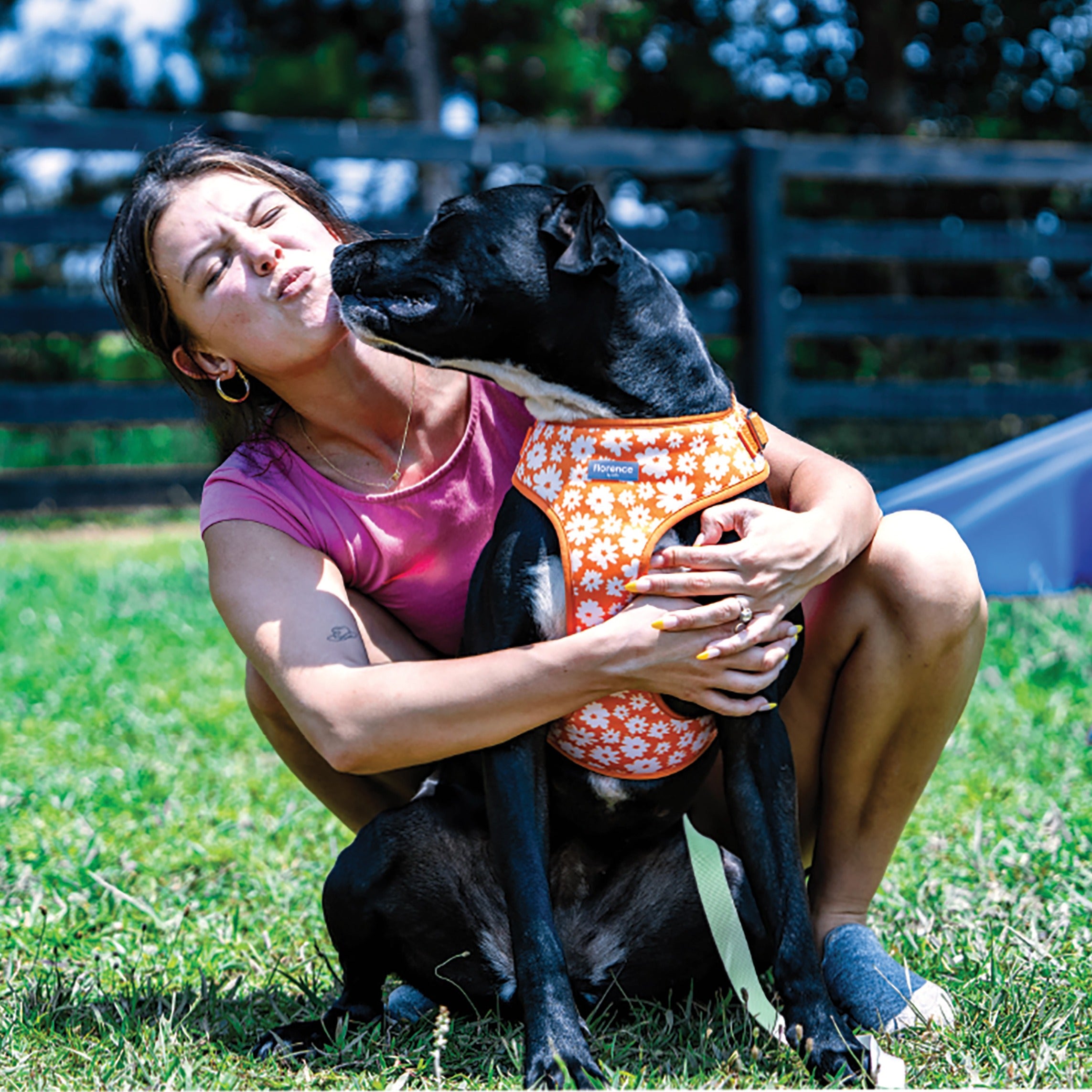 florence by mills Print Harness for Dogs 印花寵物胸背帶