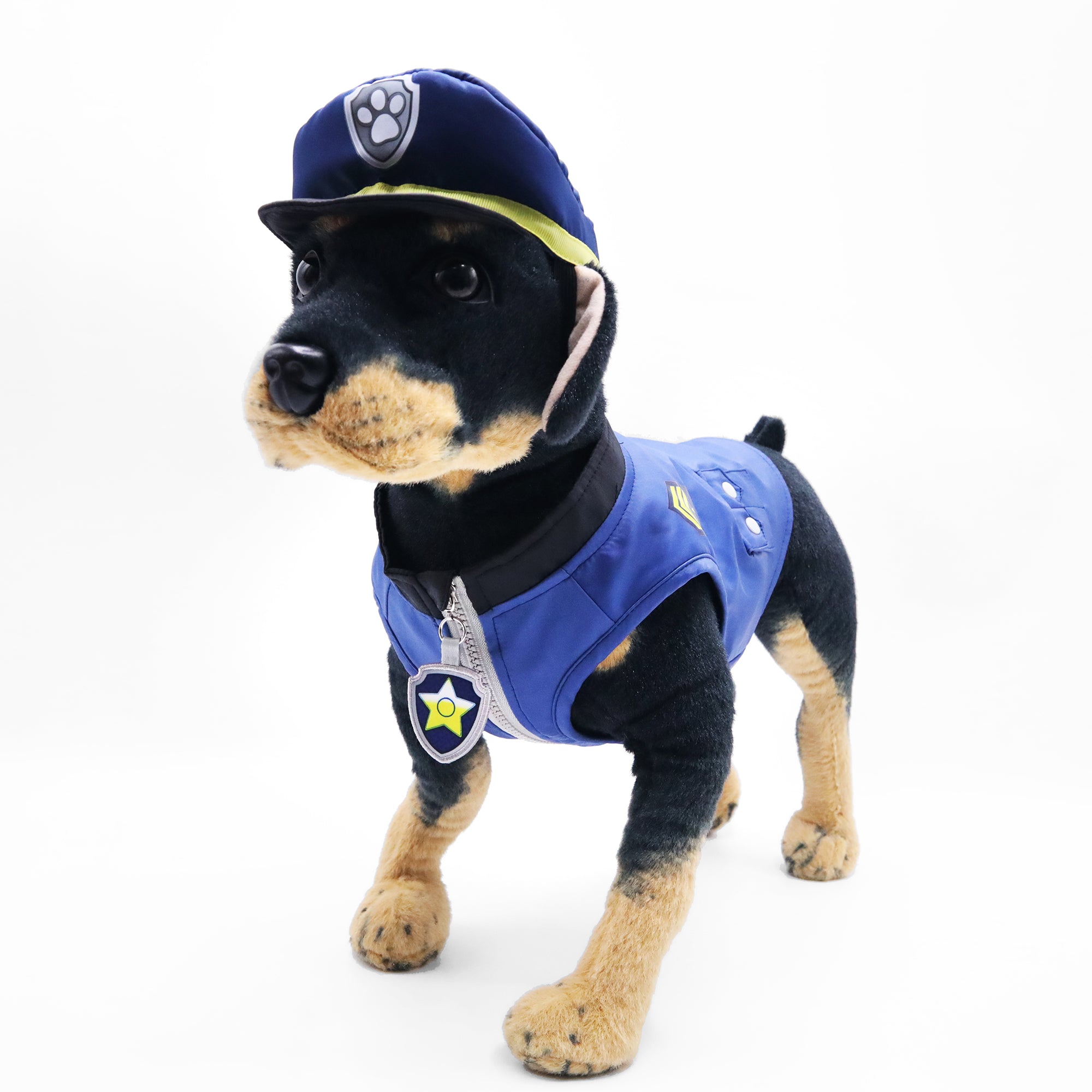 Dog Costume (Chase)