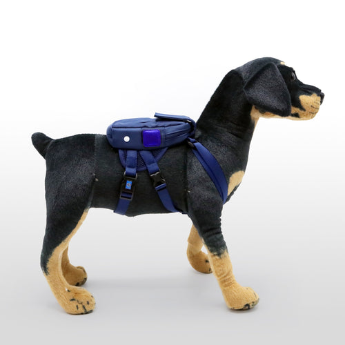 Dog Backpack (Chase)