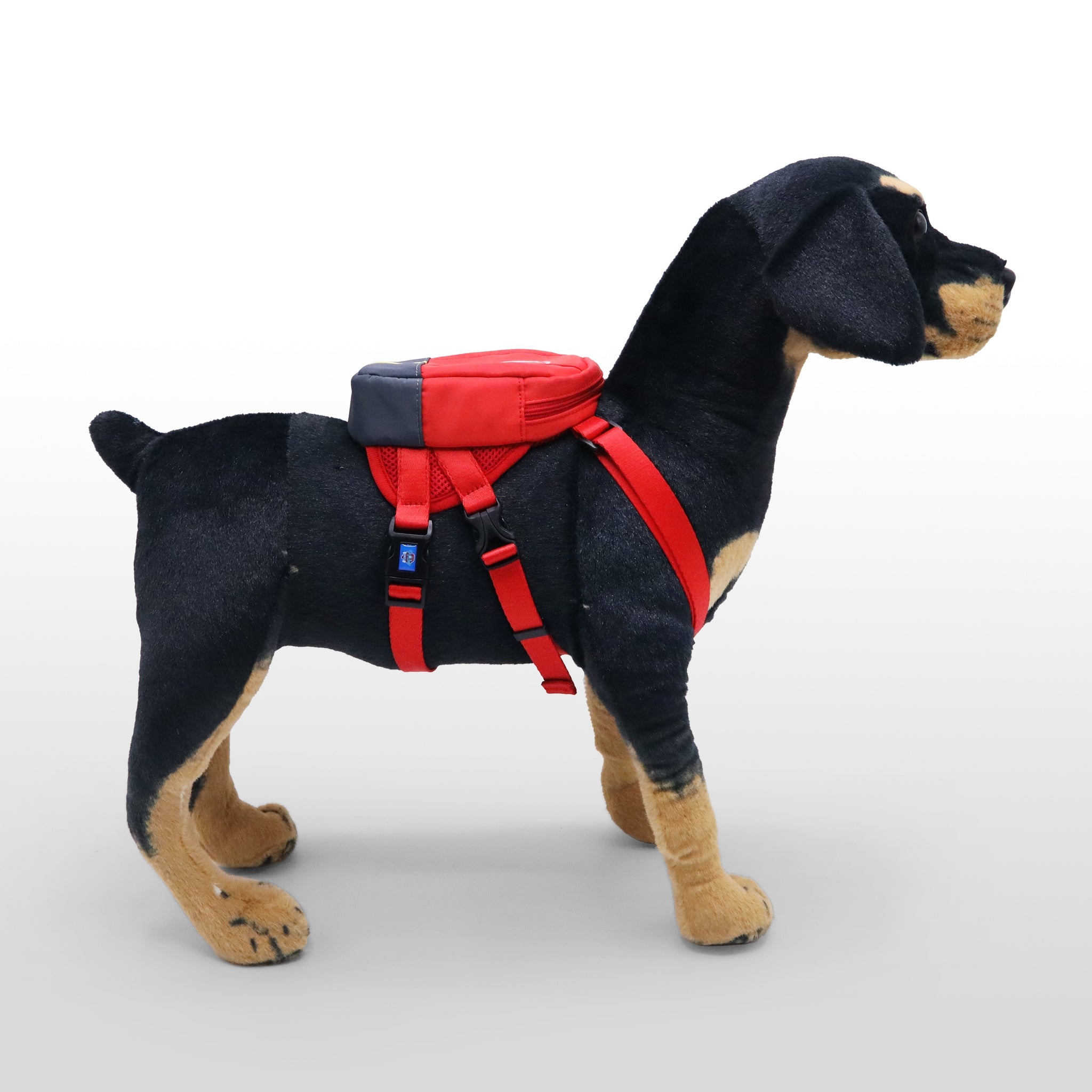 Dog Backpack (Marshall)