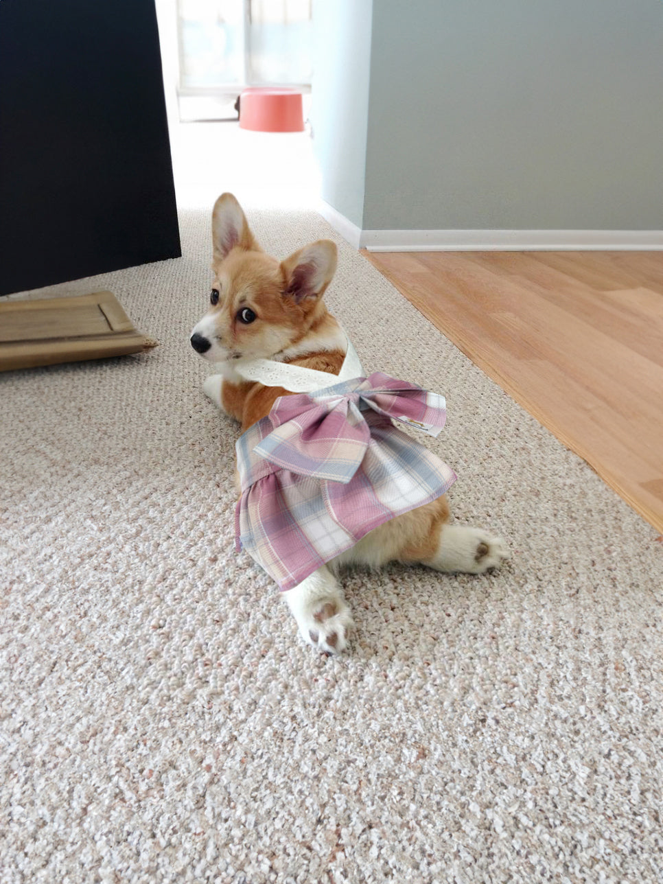 Kanine Dog Pink Checkered Dress 格仔裙