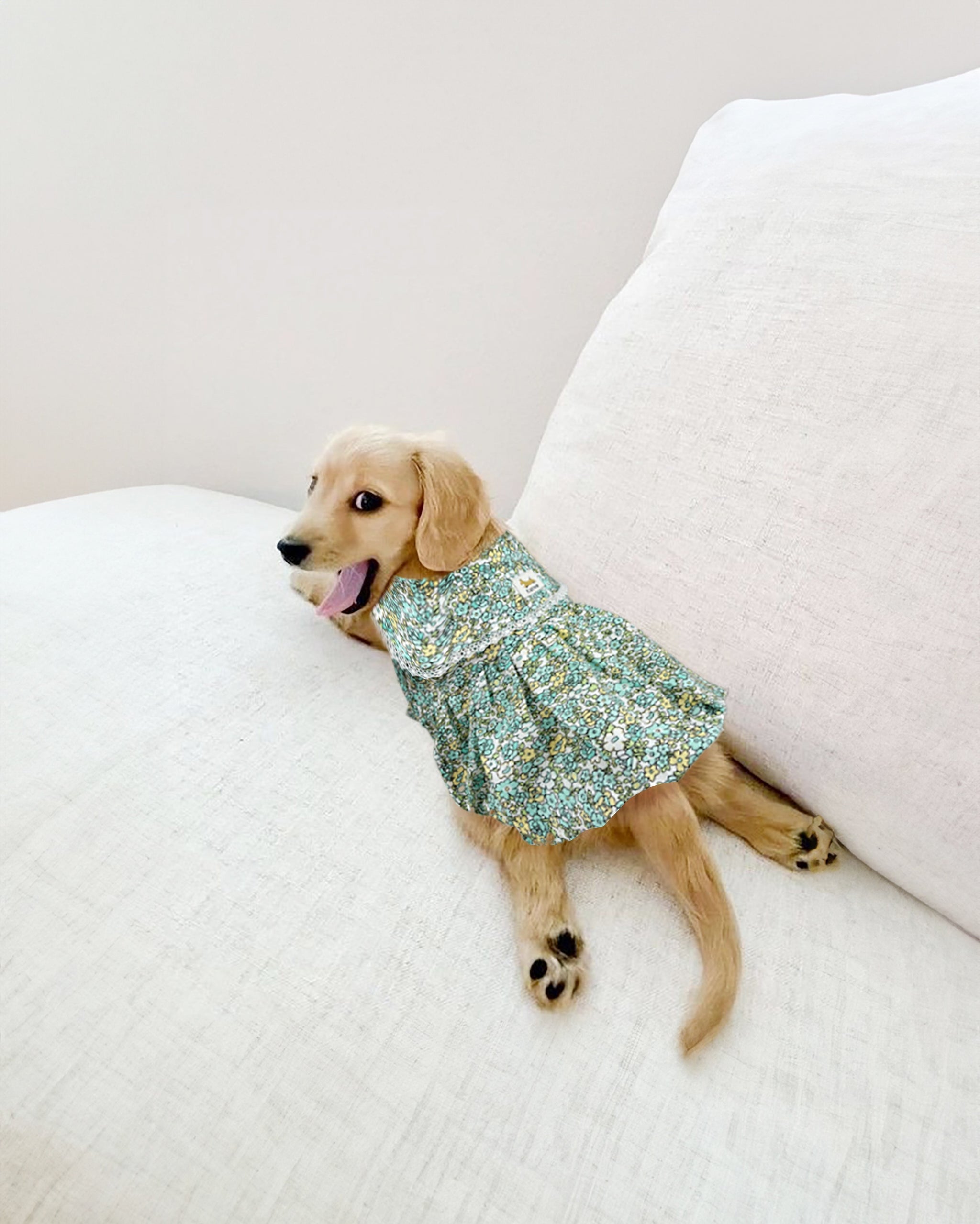 Kanine Dog Floral Bubble Dress 碎花泡泡裙