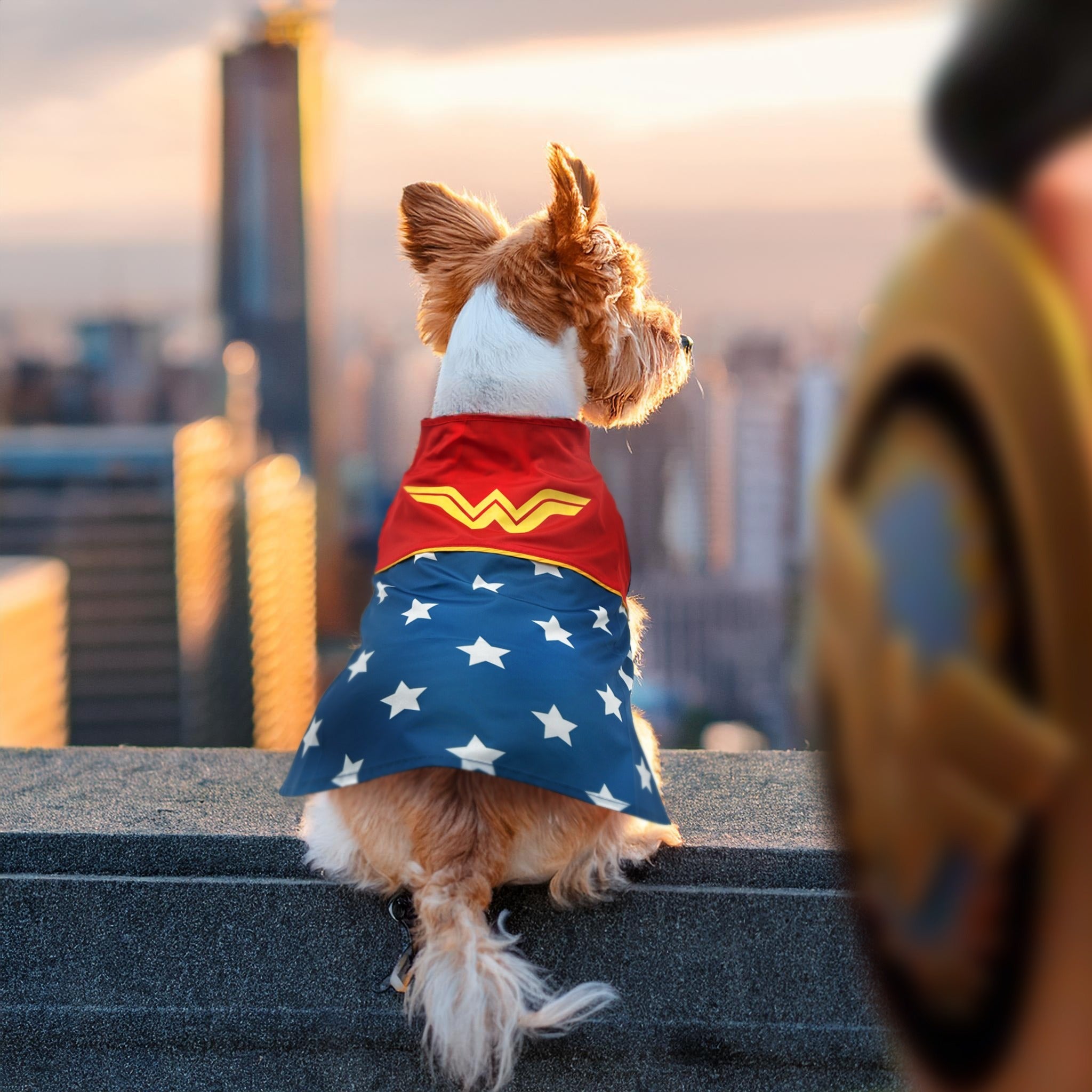 Super-Pets Wonder Woman Dog Costume (2024 Edition) 超級英雄變裝服