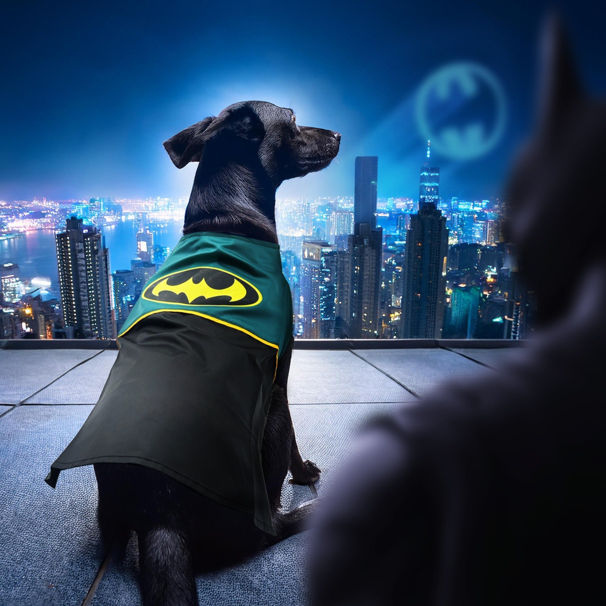 Super-Pets Batman Dog Costume (2024 Edition) 超級英雄變裝服