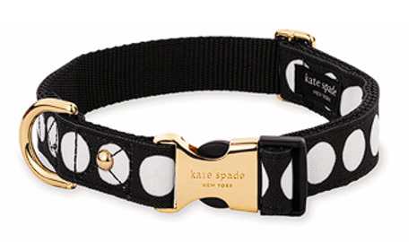 Kate Spade New York Art Dot Collar