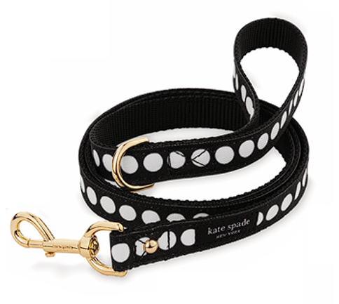 Kate Spade New York Art Dot Leash