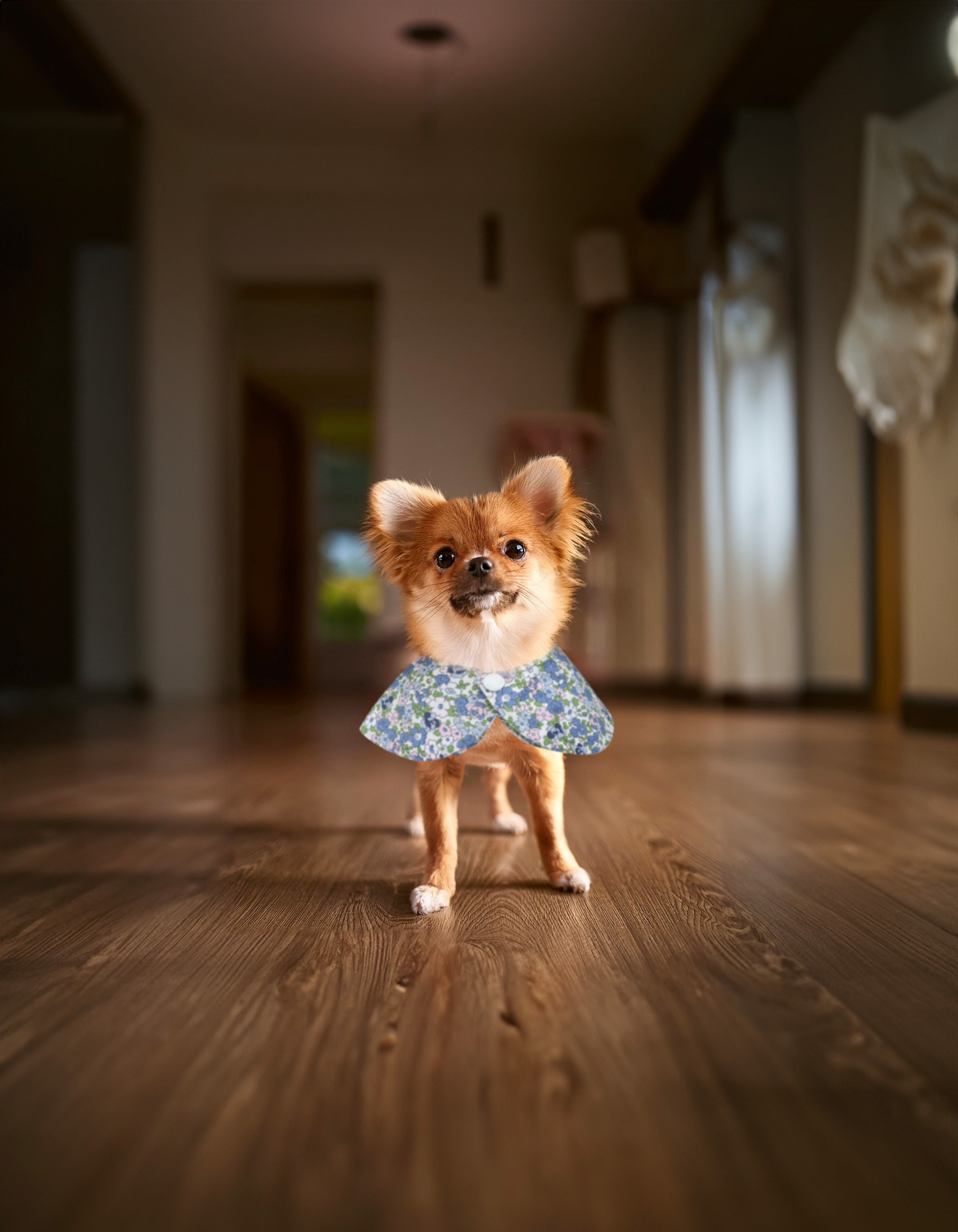 Kanine Dog Button Floral Bib 碎花圍巾