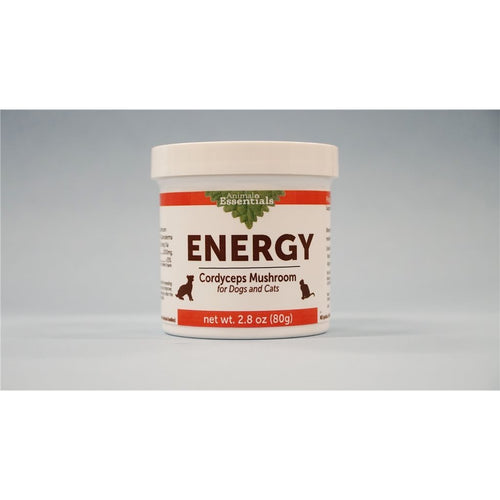 Animal Essentials - ENERGY Organic Cordyceps (CS4) Powder 2.8oz (80g) (For Cats and Dogs)