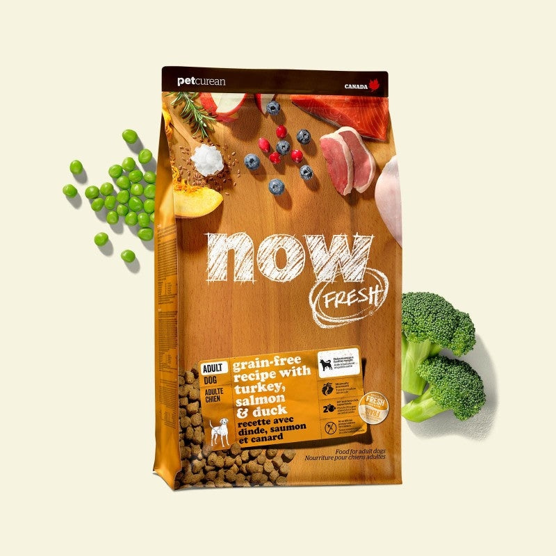 Now! Grain Free 火雞三文魚鴨肉狗糧 - 成犬