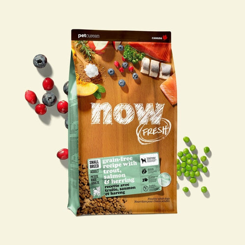 Now! Grain Free 魚肉狗糧- 小型成犬配方