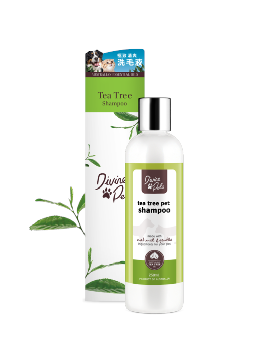 Divine Pets - Tea Tree Shampoo 極致清爽洗毛液