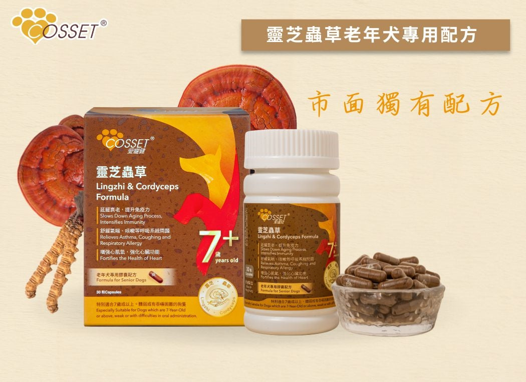 Cosset 愛寵健 愛寵健靈芝蟲草老年犬專用配方