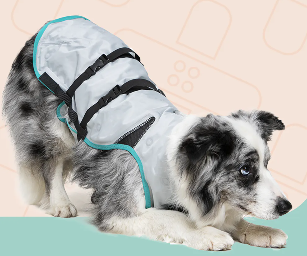 Suitical Dry Evaporative Cooling Vest (降溫涼感背心)