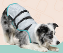 Suitical Dry Cooling Vest (降溫涼感背心)