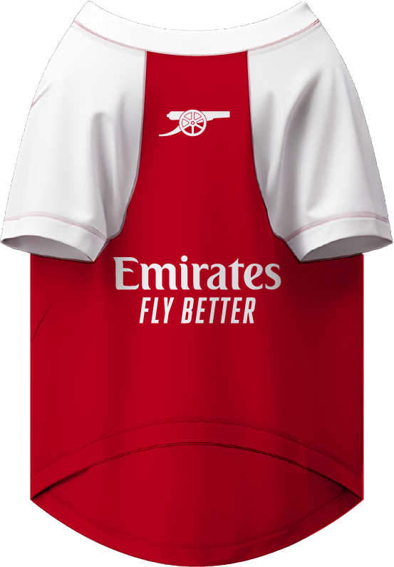 The Official Arsenal Pet Kit 24/25