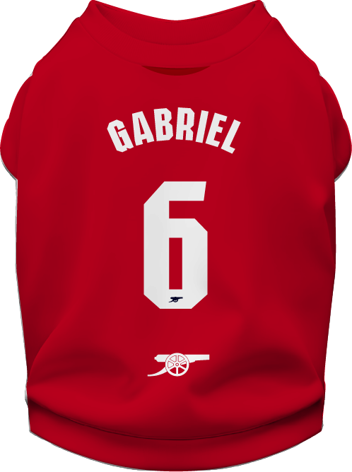 Arsenal Retro Pet Sweatshirt