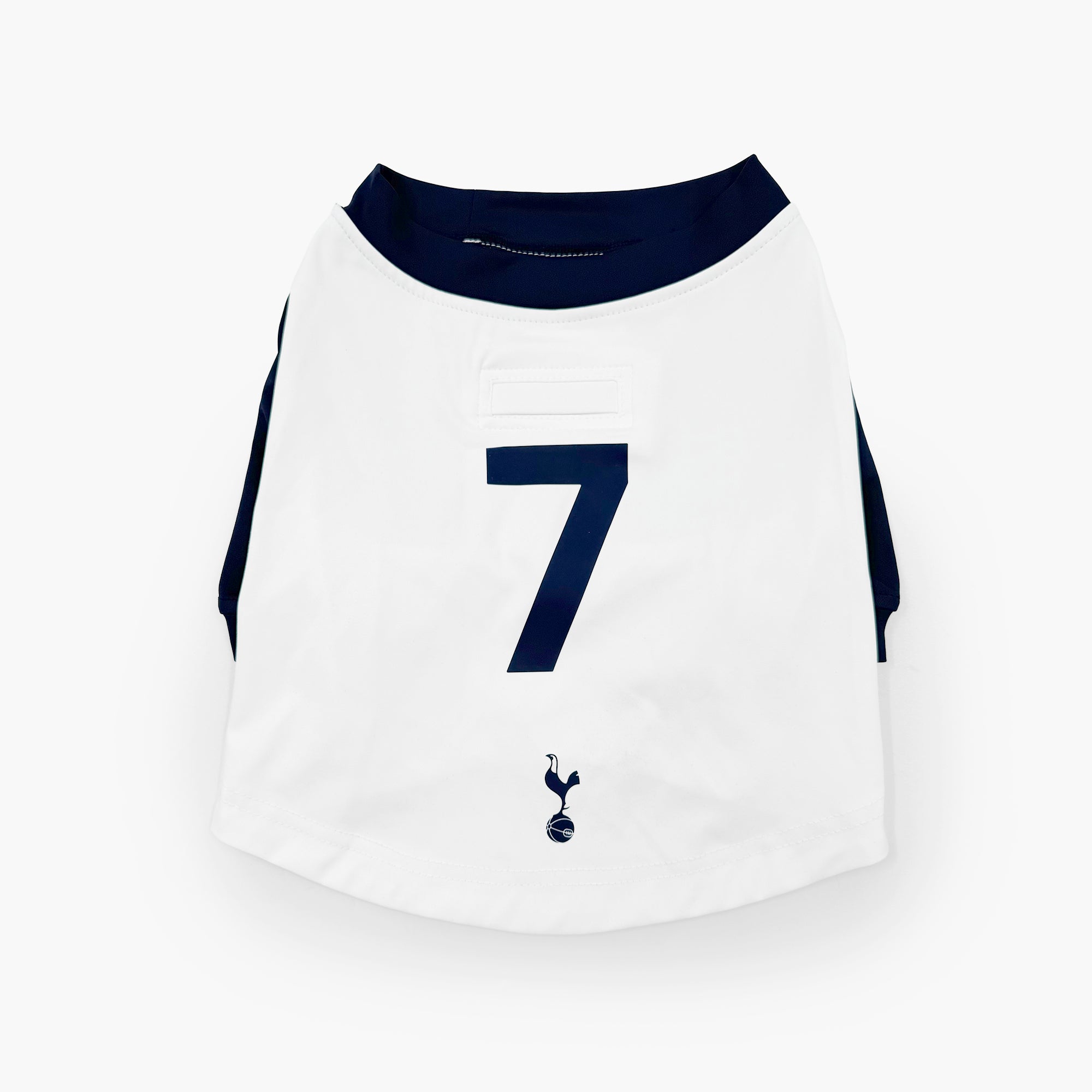 The Official Spurs Pet Kit