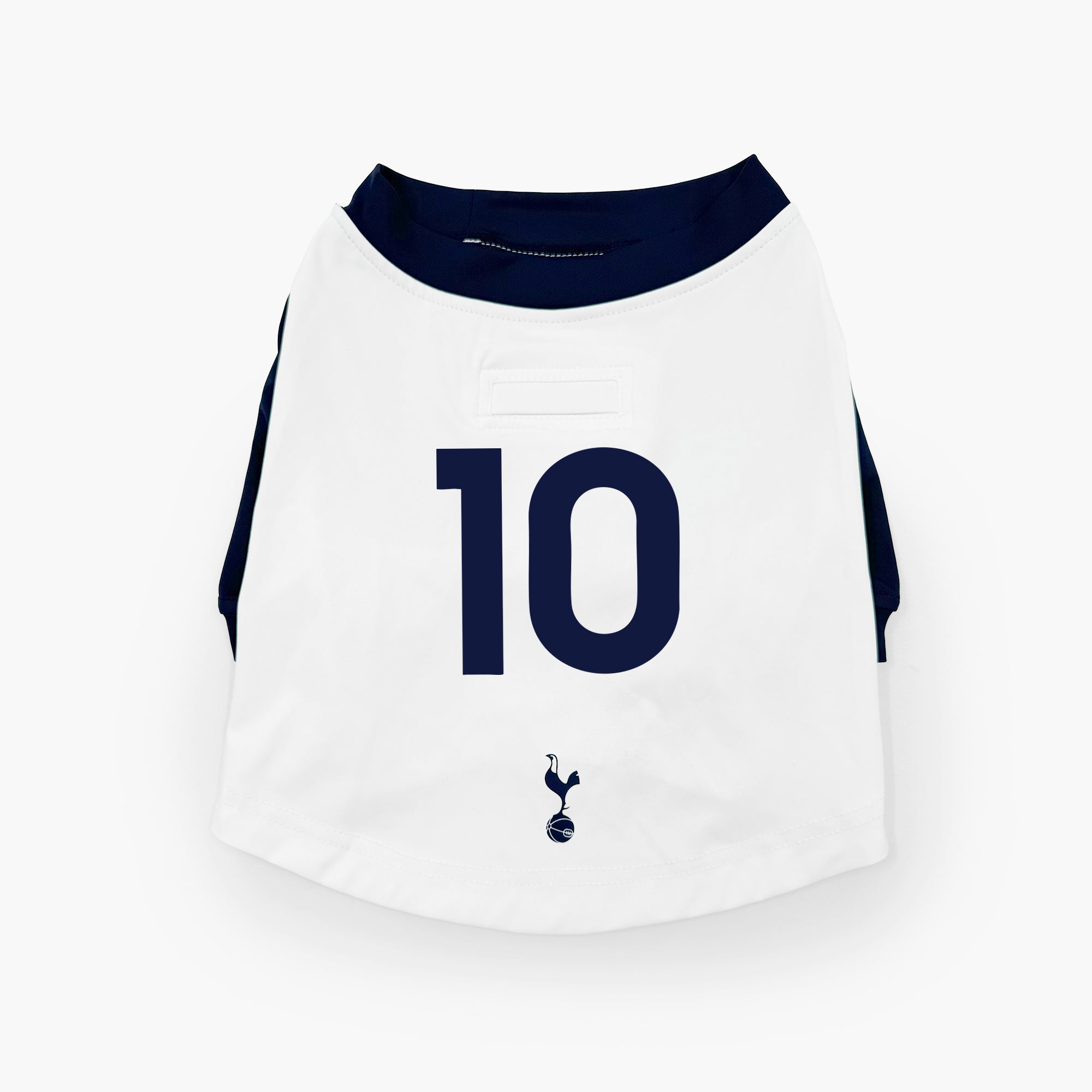 The Official Spurs Pet Kit