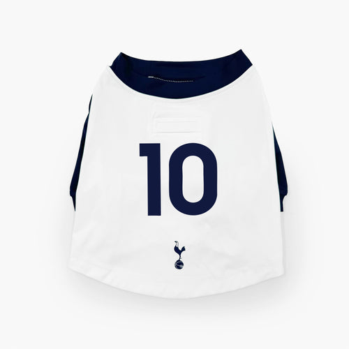 The Official Spurs Pet Kit