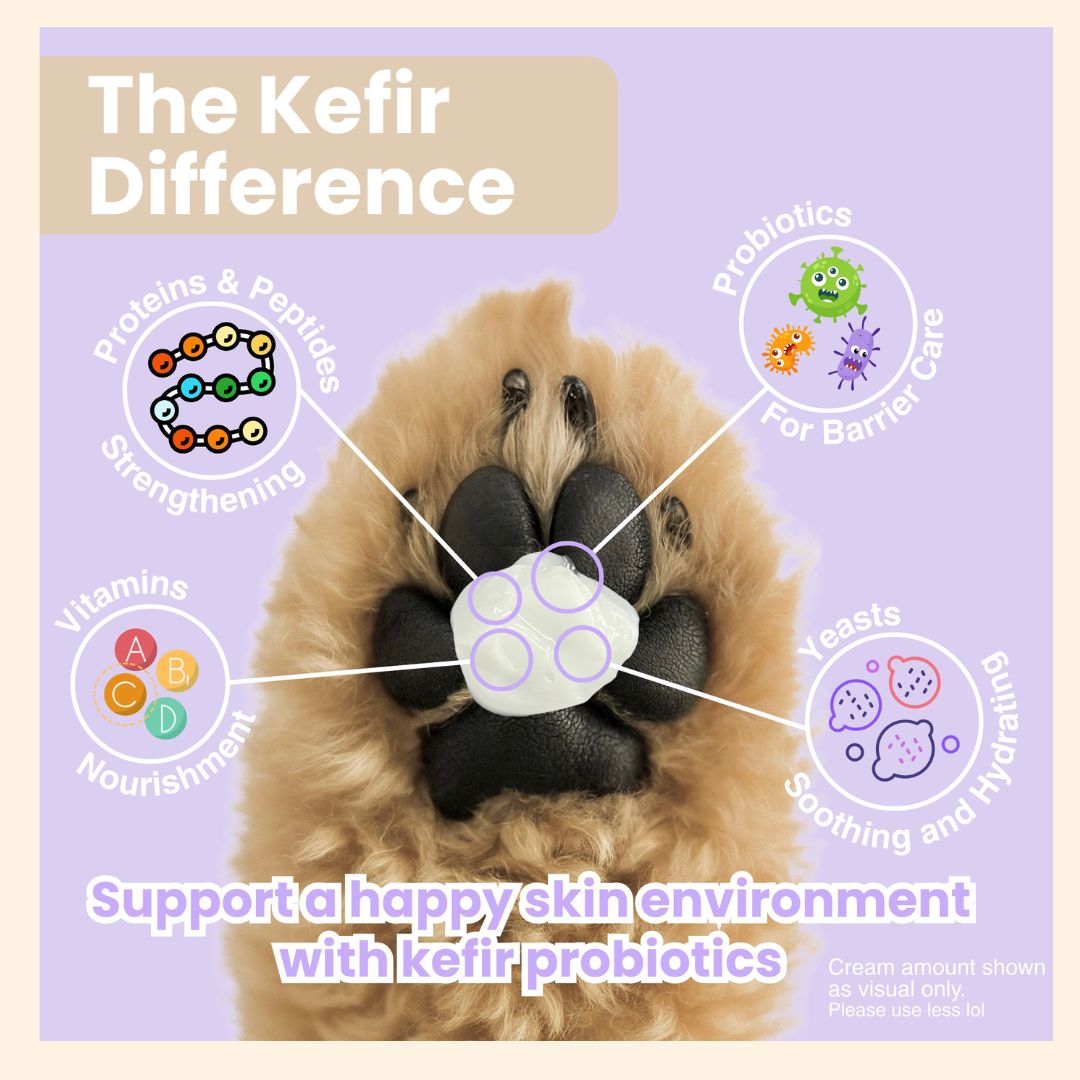 日本製 Kefir 益生菌肉墊修護霜