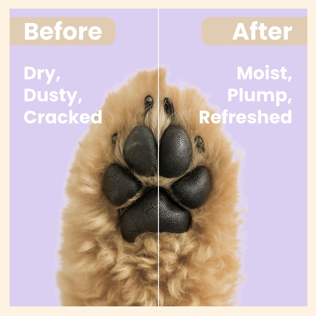 Kefir Probiotics Paw Pad Cream