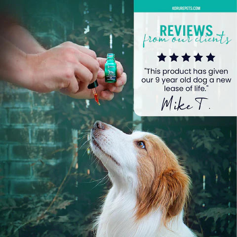 Kōrure Pets MP Oil - Marine Phospholipid Green-lipped Mussel Oil [Potential Joint Oil - Dog Use] 30ml