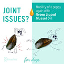 Kōrure Pets MP Oil - Marine Phospholipid Green-lipped Mussel Oil [Potential Joint Oil - Dog Use] 30ml