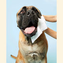 Dog by Dr Lisa Natural Dog Cleansing Wipes 