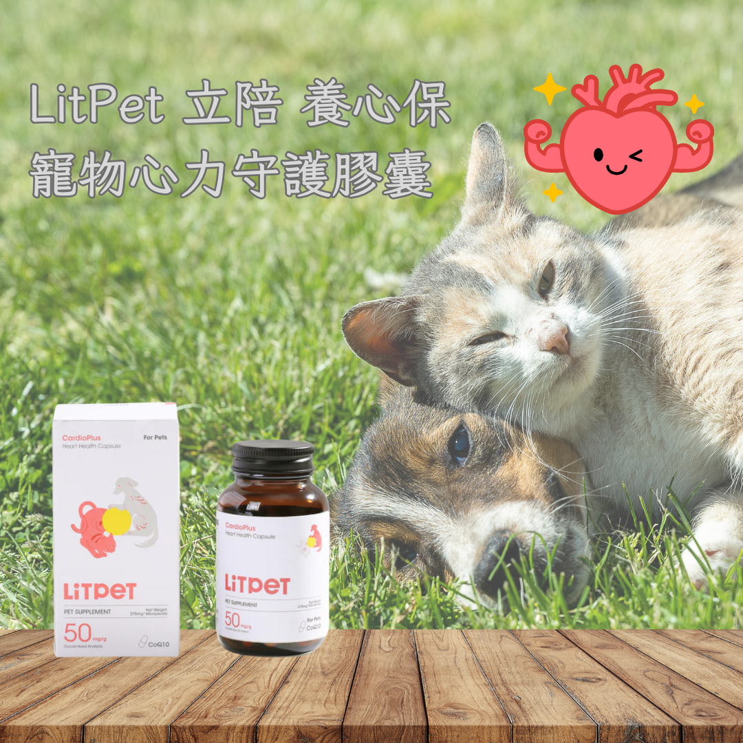 LitPet 立陪養心保 - 寵物心力守護膠囊