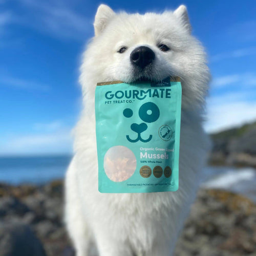 Gourmate 100% 紐西蘭斯圖爾特島有機綠唇胎貝50g (GMT01) - 幸福站