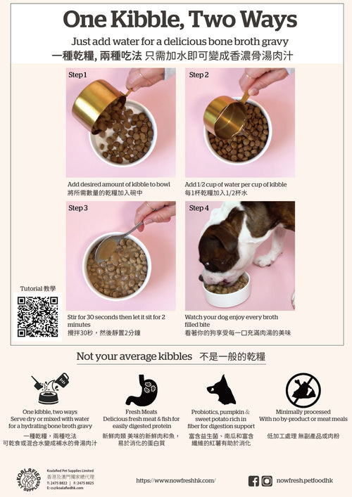 Now Good Gravy 成犬糧 (雞肉 / 三文魚 / 牛 3款口味)