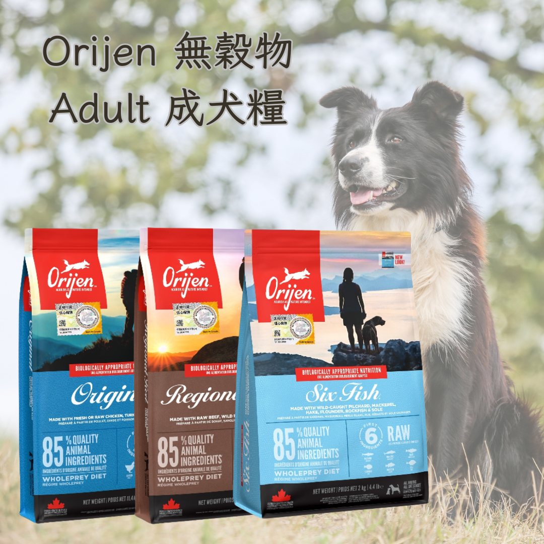 Orijen 無穀物 Adult 成犬糧