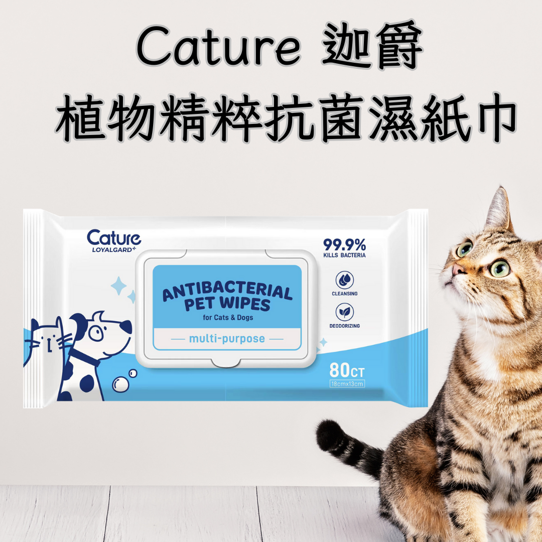 Cature 迦爵 植物精粹抗菌濕紙巾 80片裝