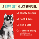 Stella &amp; Chewy's - Freeze Dried Perfectly Puppy Dog Food