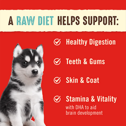 Stella &amp; Chewy's - Freeze Dried Perfectly Puppy Dog Food