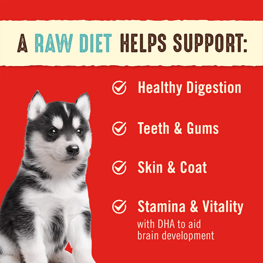 Stella &amp; Chewy's - Freeze Dried Perfectly Puppy Dog Food