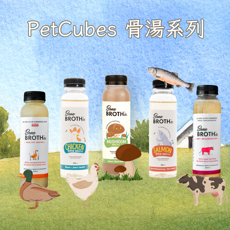 PetCubes - 急凍湯 (貓狗合用, 須冷藏)
