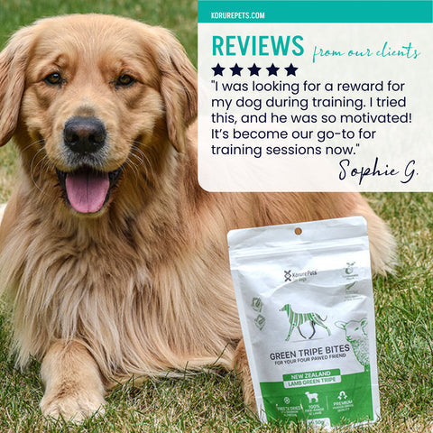 Kōrure Pets -紐西蘭冷凍脫水小食 50g (狗)