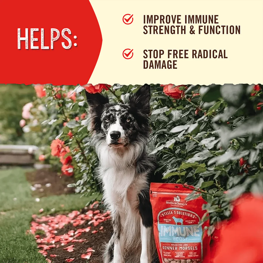 Stella's Solutions - 支援免疫系統 -草飼羊 凍乾狗糧 (主糧/乾糧伴侶)